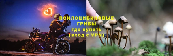 ECSTASY Осташков