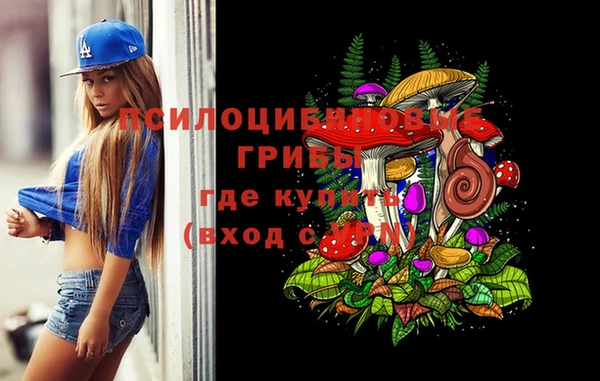ECSTASY Осташков