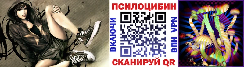 blacksprut сайт  Котлас  Галлюциногенные грибы Magic Shrooms 
